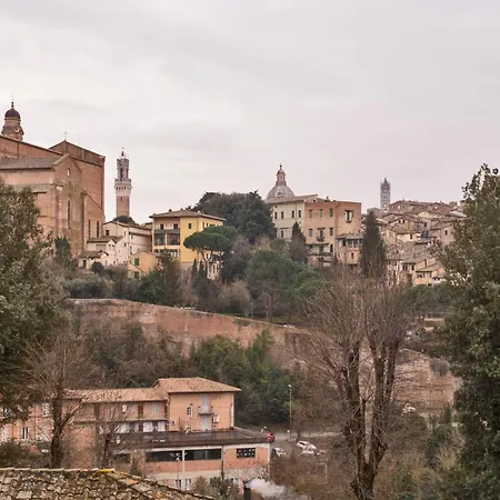 My Honeyed Corner * Siena