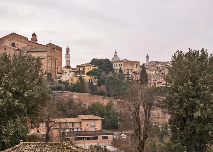 My Honeyed Corner * Siena